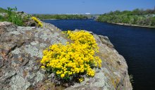Granite in Farbe. / ***