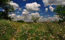 Blooming Sommer / ***
