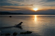 Eines Abends / *****