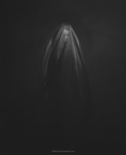  / ***