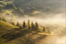 / Sommer Nebel ... / / ***