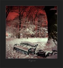 In Winter Park / *******
