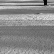 Snow stripes / 