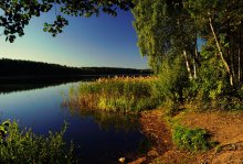 Am See in den Wäldern / ***