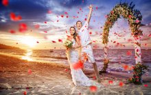 WEDDING STORY / ***