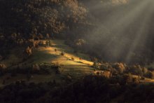 The magic hour / ***