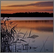 Morgendämmerung / ***