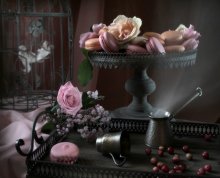 Morning Coffee / ***