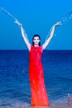 Red Seagull / ***