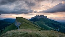 Kleine Vertex Thach. Republik Adygea. / ***