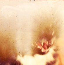 Bastet / ***