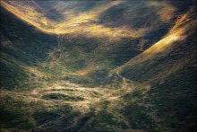 Blueberry Hills / ***