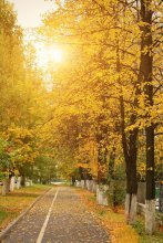 Herbst in der Wologda / ***