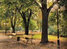 Autumn park / ***