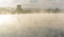 Herbstnebel. / ***