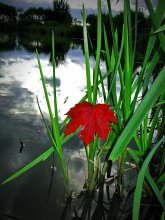 Das ist alles ... / ----