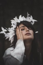 Julia / ***