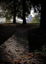 seinen Weg / ******
