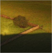 Und Schatten ...... / ***