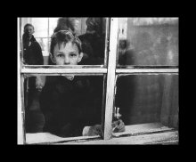 Blick / ***