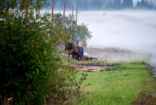 im Nebel / ***