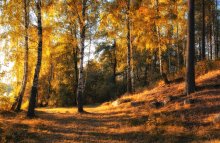Autumn Feuer brennen ... / ***