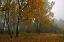 Herbst-Tag / ***