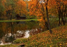 Herbststimmung / ***