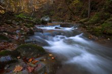 Herbstwandern / ***