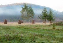 2 +2 ausgehende Nebel. / ***