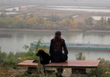 Herbst und ein Hund. / ***