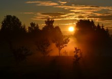 Morgendämmerung / ...