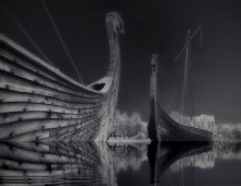 Rooks Vyborg / ***