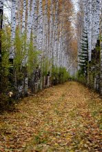 Herbst / ***