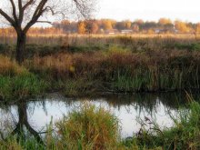 Herbst ... / ***