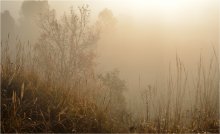 Grabtuch von Herbst. / ***
