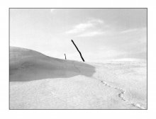 Pillars / ***