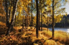 Setzen Sie sich für den Herbst Tisch ... / ***