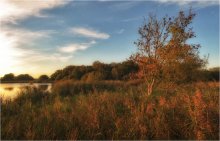 HERBST ... manchmal ... / ***