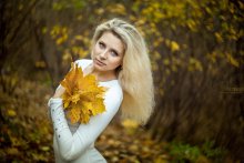 Herbst / ***