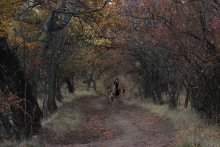Autumn Pastoral / ***