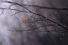 Über Herbst / .....