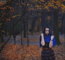  / ***