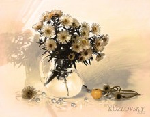Altweibersommer / ***