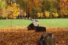 Herbst / ***