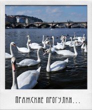 Prag walking # 22 / ***