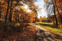 Herbst im Mon Repos / ***