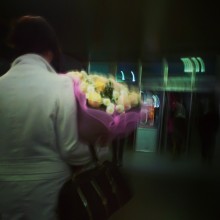 Dame mit Rosen / ........