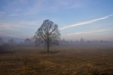 Wälder Einsamkeit / ***