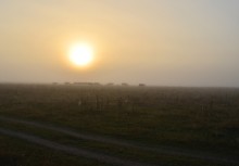 Frühmorgens / ***